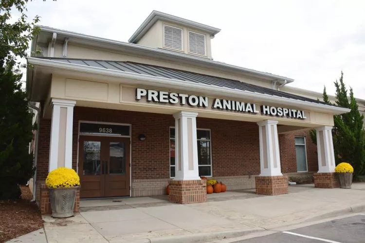 Preston Animal Hospital, North Carolina, Morrisville